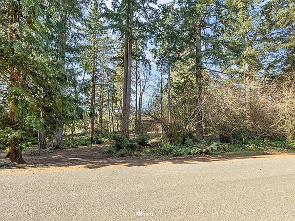 Street view of the driveway and entrance to the lot. A row of trees allows for extra privacy from the road.>