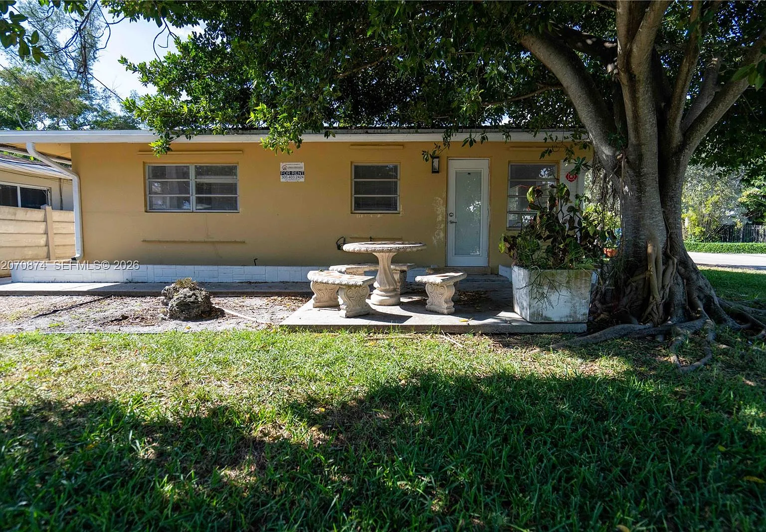 1 bed, 1.0 bath, 650 sqft, $1,600 — Photo 3