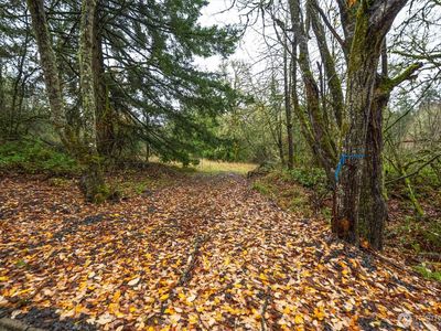 3 Grimm Road, Kelso, WA, 98626