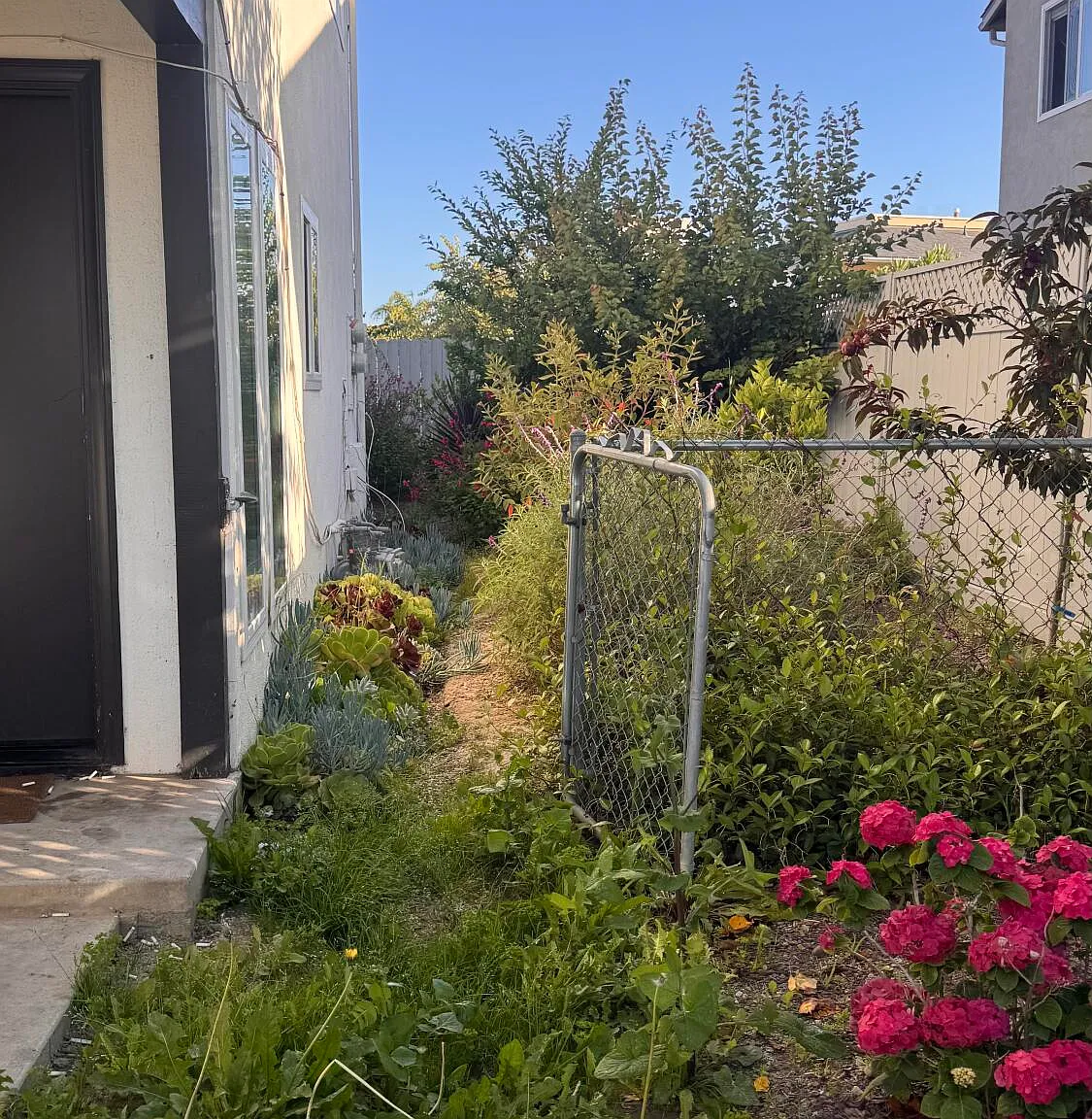 3 bed, 1.5 bath, $4,700 — Photo 2