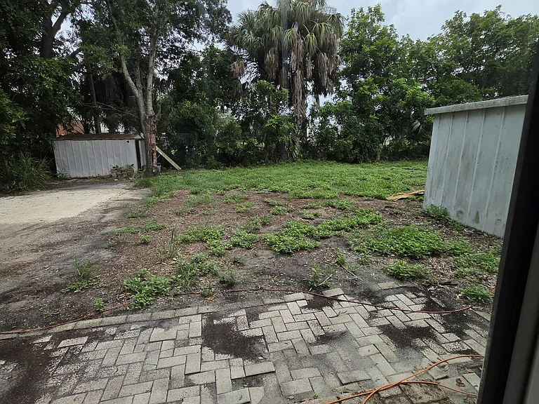 Back Yard