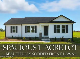 73 Grace Pond Ave, Benson, NC 27504