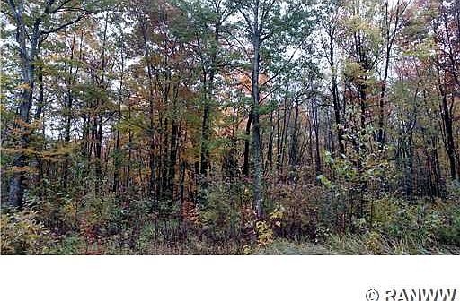 2nd image of TBD Old Hwy 63