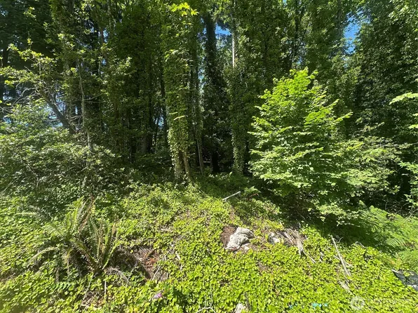 0 W Harvard Avenue, Shelton, WA 98584