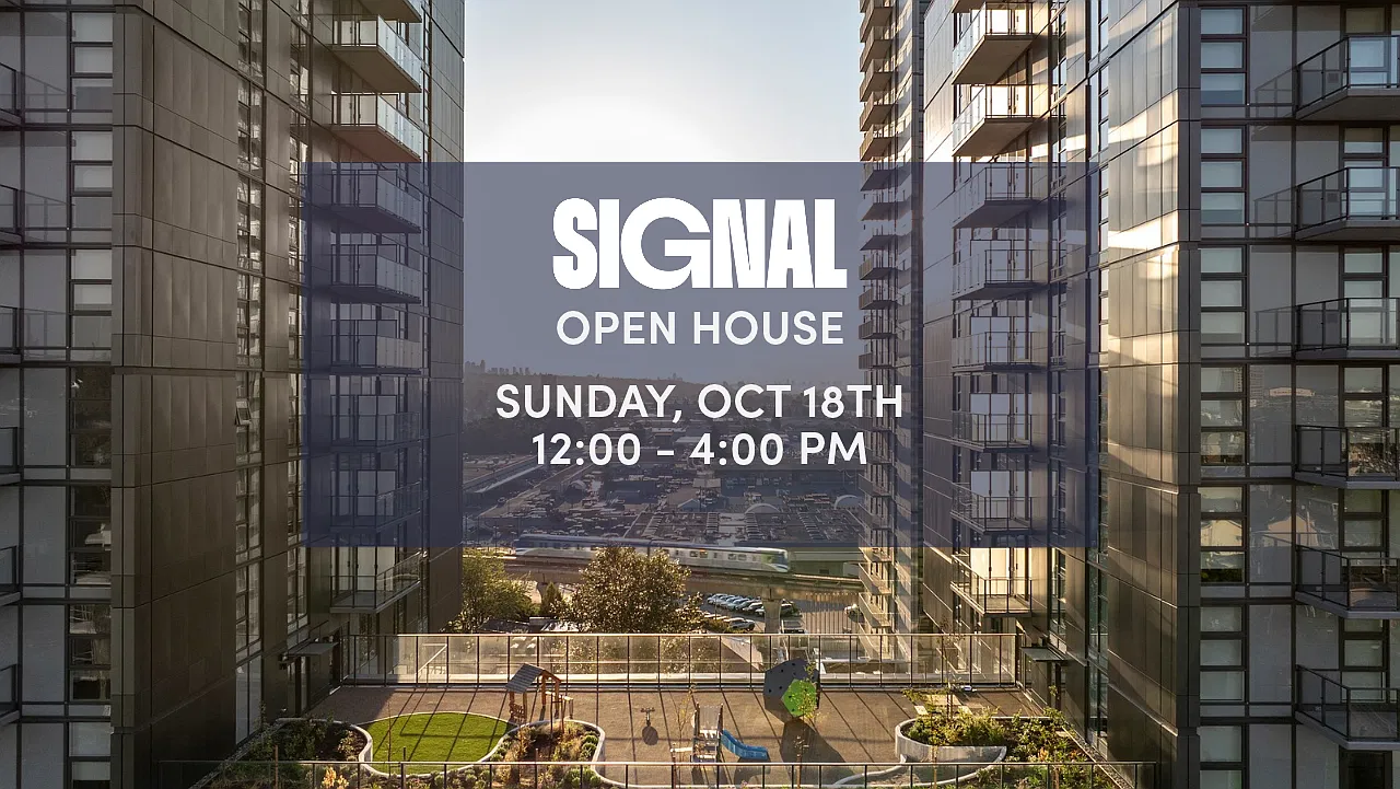 Signal — Photo 2