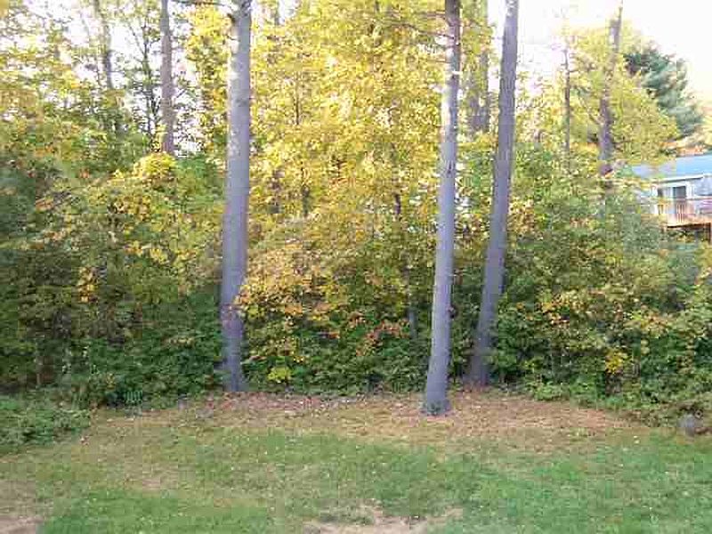 4th image of 25 HUTCHINS Road