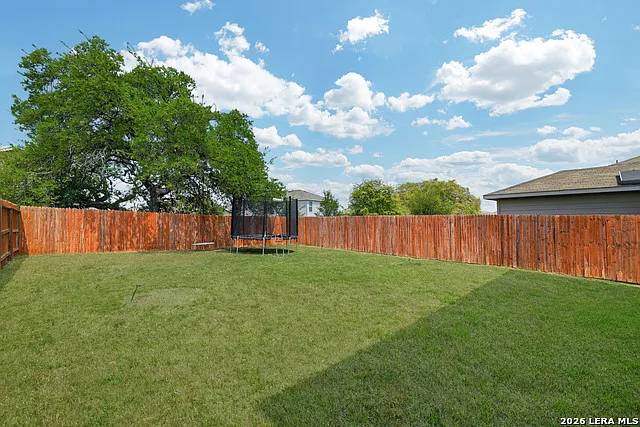 15331 Shortwing — Photo 29