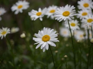 4525 191st Pl NE, Sammamish, WA 98074