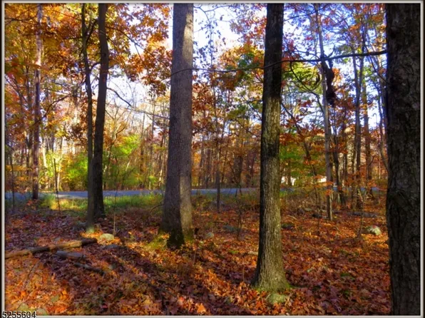 77 Possaghi Rd, Hampton Twp., NJ 07860