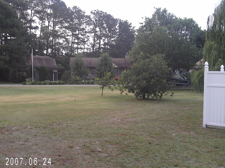 Back yard