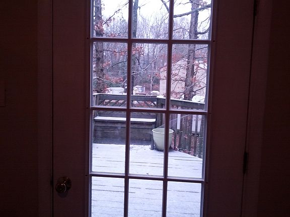 Back yard view from kitchen