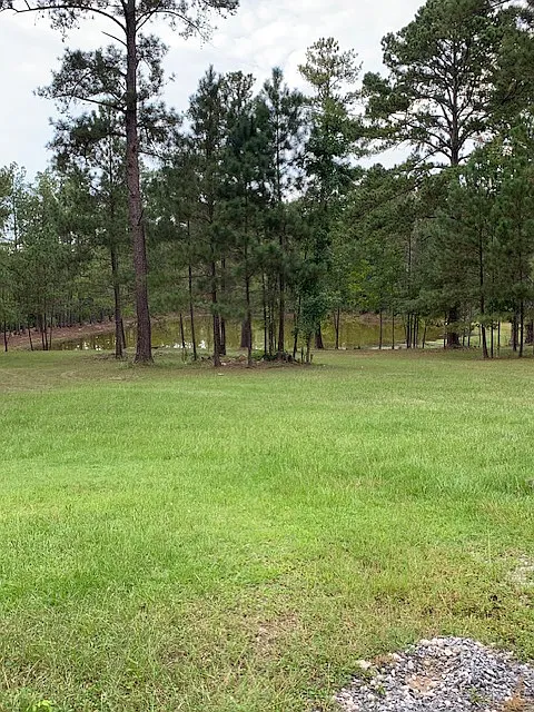 2 bed, 1440 sqft, $1,500 — Photo 3