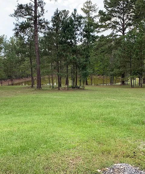 4495 Knight Rd — Photo 3