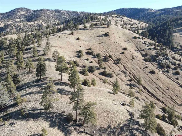 TBD County Road, Powderhorn, CO 81243