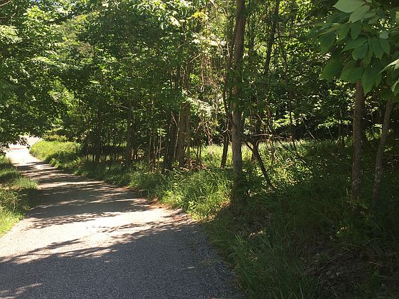 top of driveway toward road