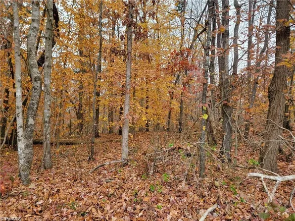 0 Rhodes Loop, Madison, NC 27025