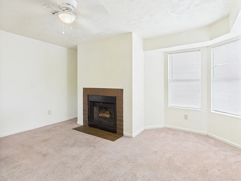 4441 Old College Rd — Photo 2