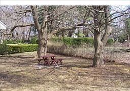 2nd image of 145 North Ave