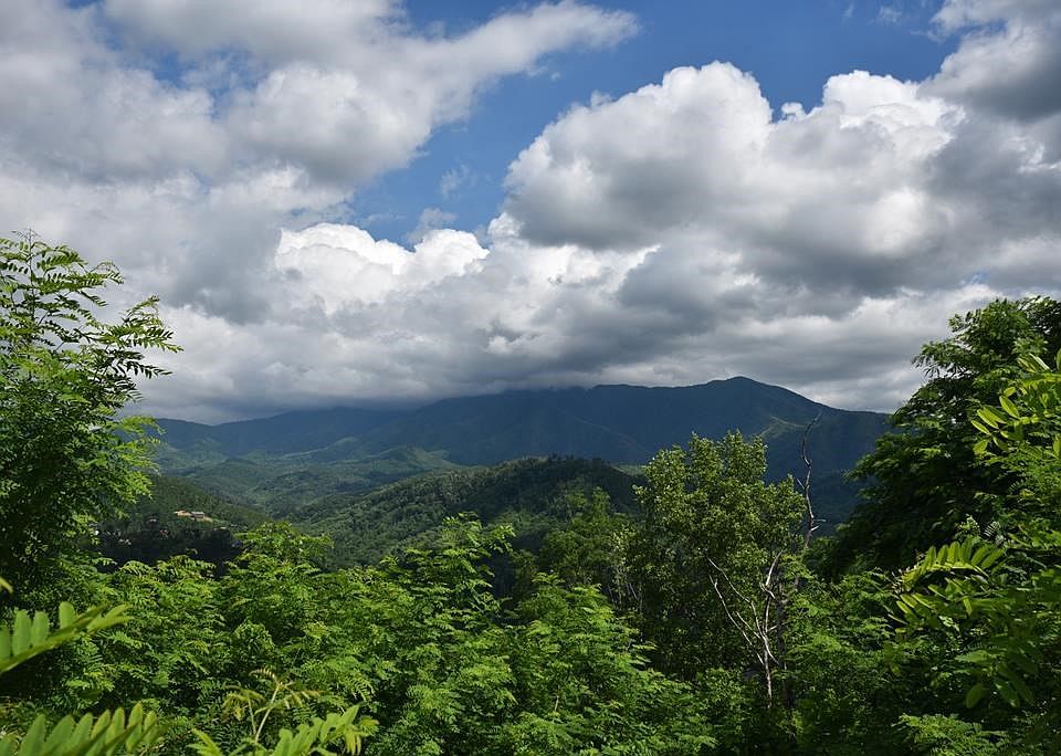 2nd image of 554 Campbell Lead Rd