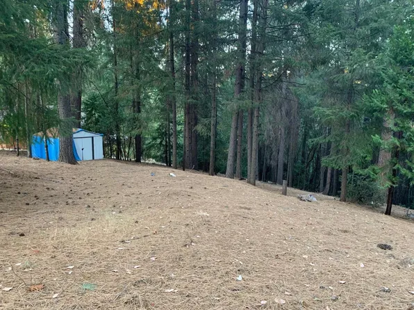 17660 Debbie Ct N, Pioneer, CA 95666