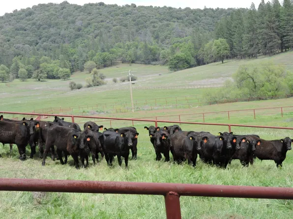 10488-10449 Converse Rd, Coulterville, CA 95311