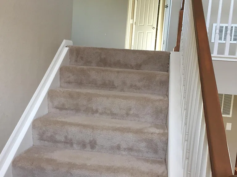 1717 Dusty Boot Dr — Photo 11