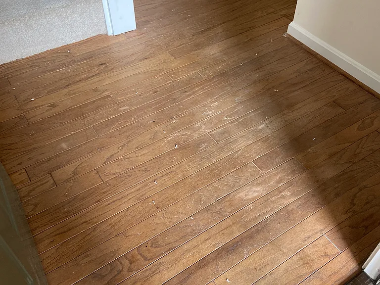 2802 Emma Lee St #302 — Photo 13