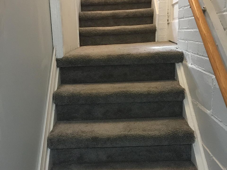 Stairs leading to the back door at the landing then continuing to the basement.