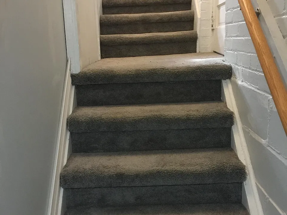 Stairs leading to the back door at the landing then continuing to the basement.