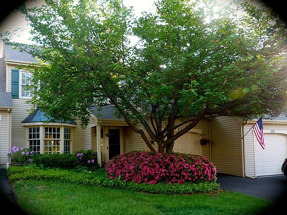 Front-House mid May Azaleas