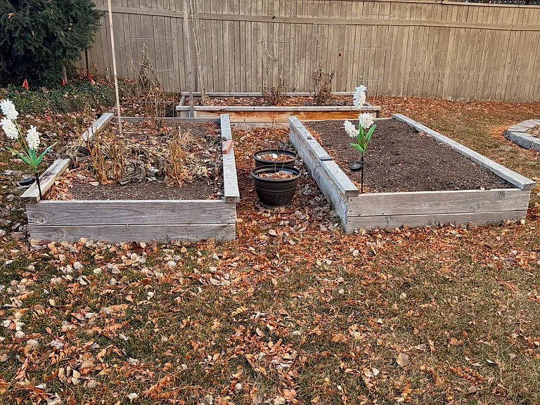 3855 Buckthorn Dr — Photo 20