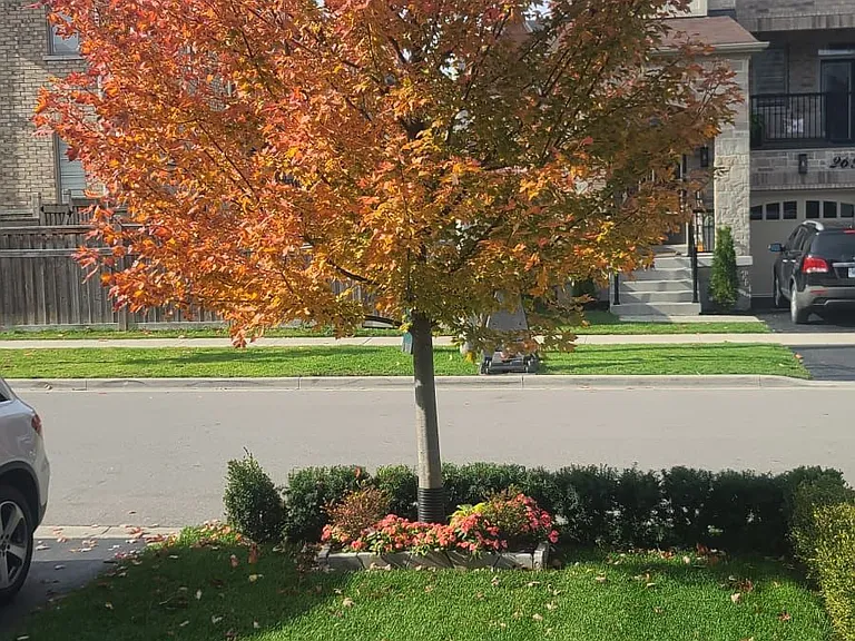 23 Terry Cres — Photo 7