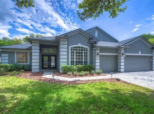 3520 Cordgrass Dr, Valrico, FL 33596