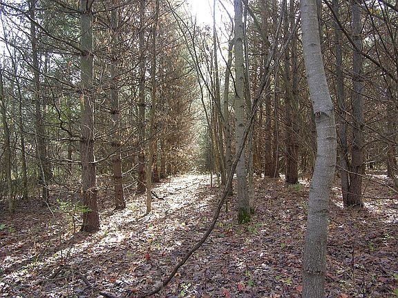 5th image of 2397 County Road 450 W