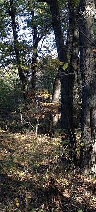 4th image of Xxx 167th Street Nw Orrock Twp