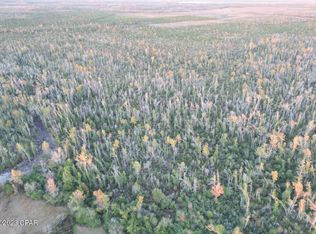 0 NE Luke Holland Rd, Altha, FL 32421