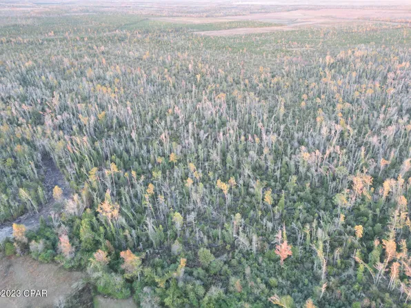 0 NE Luke Holland Rd, Altha, FL 32421