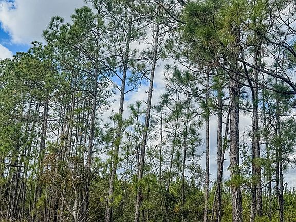 Compass South Land Sales Louisiana Starks Tracts 4