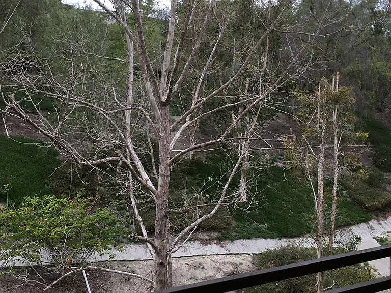 22681 Oakgrove #536 — Photo 7