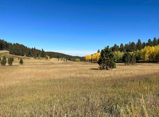 Aspen Lookout Loop, Lead, SD 57754