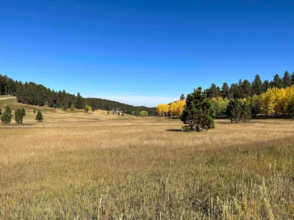 Aspen Lookout Loop, Lead, SD 57754