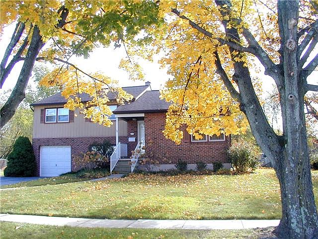 Fronts to tree-lined street