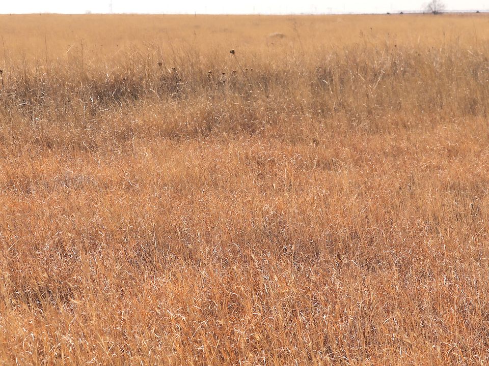 County Road M, Hale Center, TX 79041 MLS 2313 Zillow