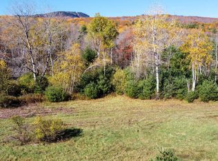 157 Claude Straight Rd, North Creek, NY 12853