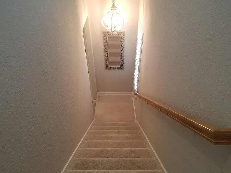 10908 Bullrush Dr — Photo 60