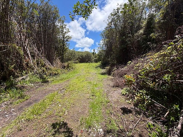 1st image of Lehua St Lot 7110