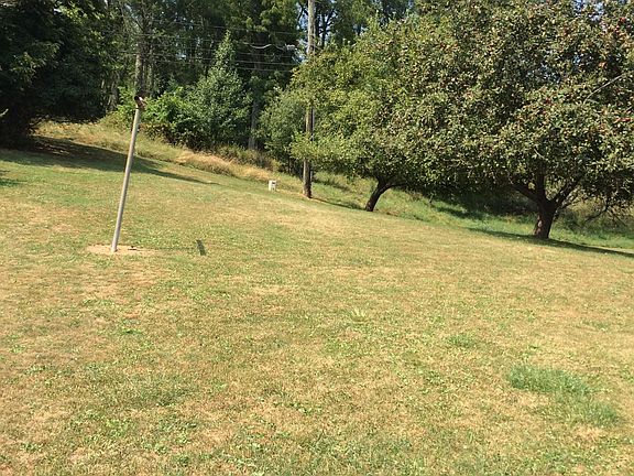 Large private yard with apple trees owner will mow