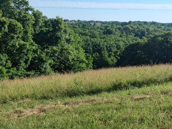 305 Mount Moriah Rd, Carlisle, KY 40311