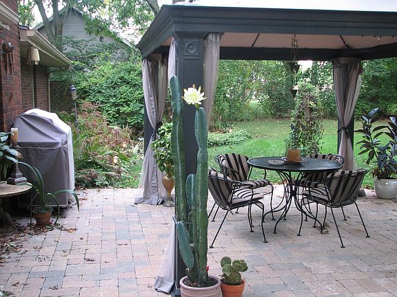 Patio w/new gazebo
