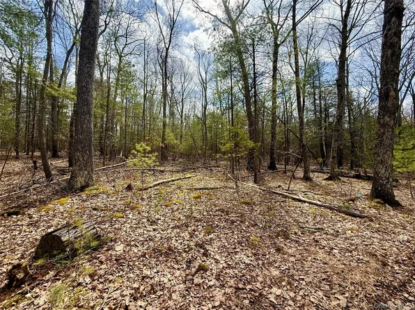 Marko Drive, Yulan, NY 12528